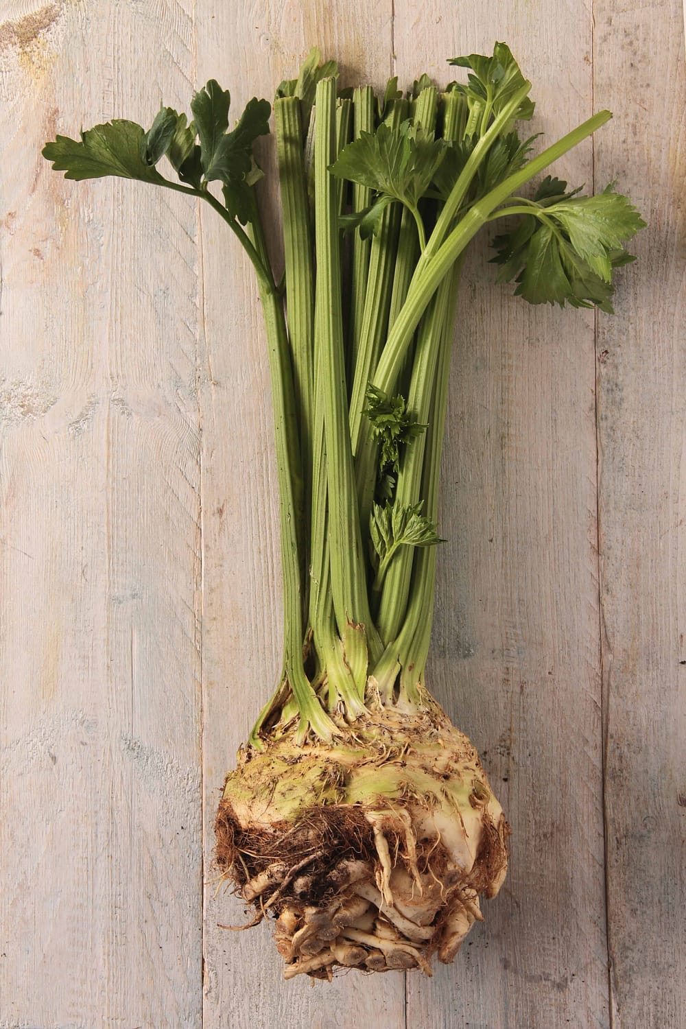 whole celery with root on a wooden table