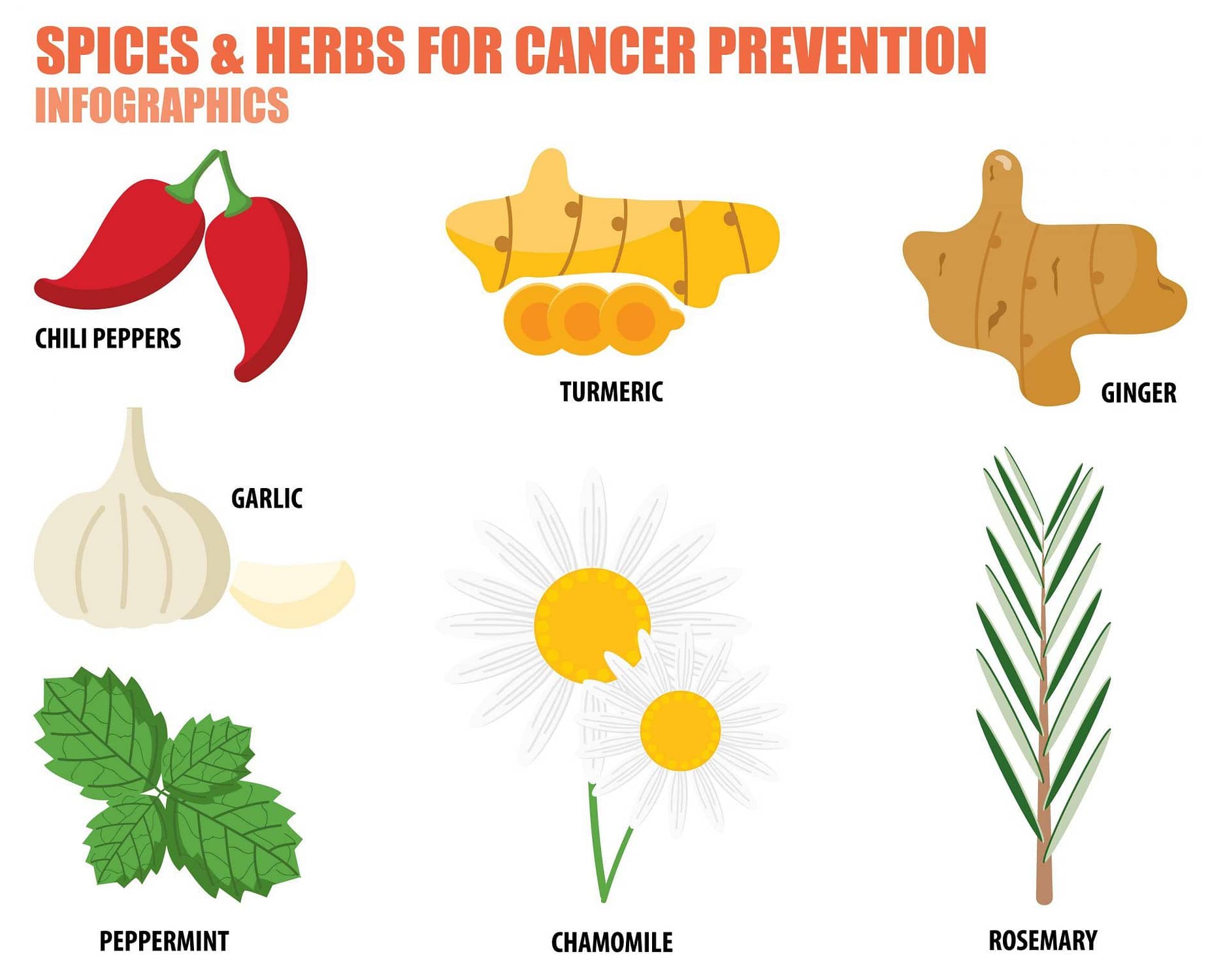 Turmeric and other cancer fighting herbs and spices infographic