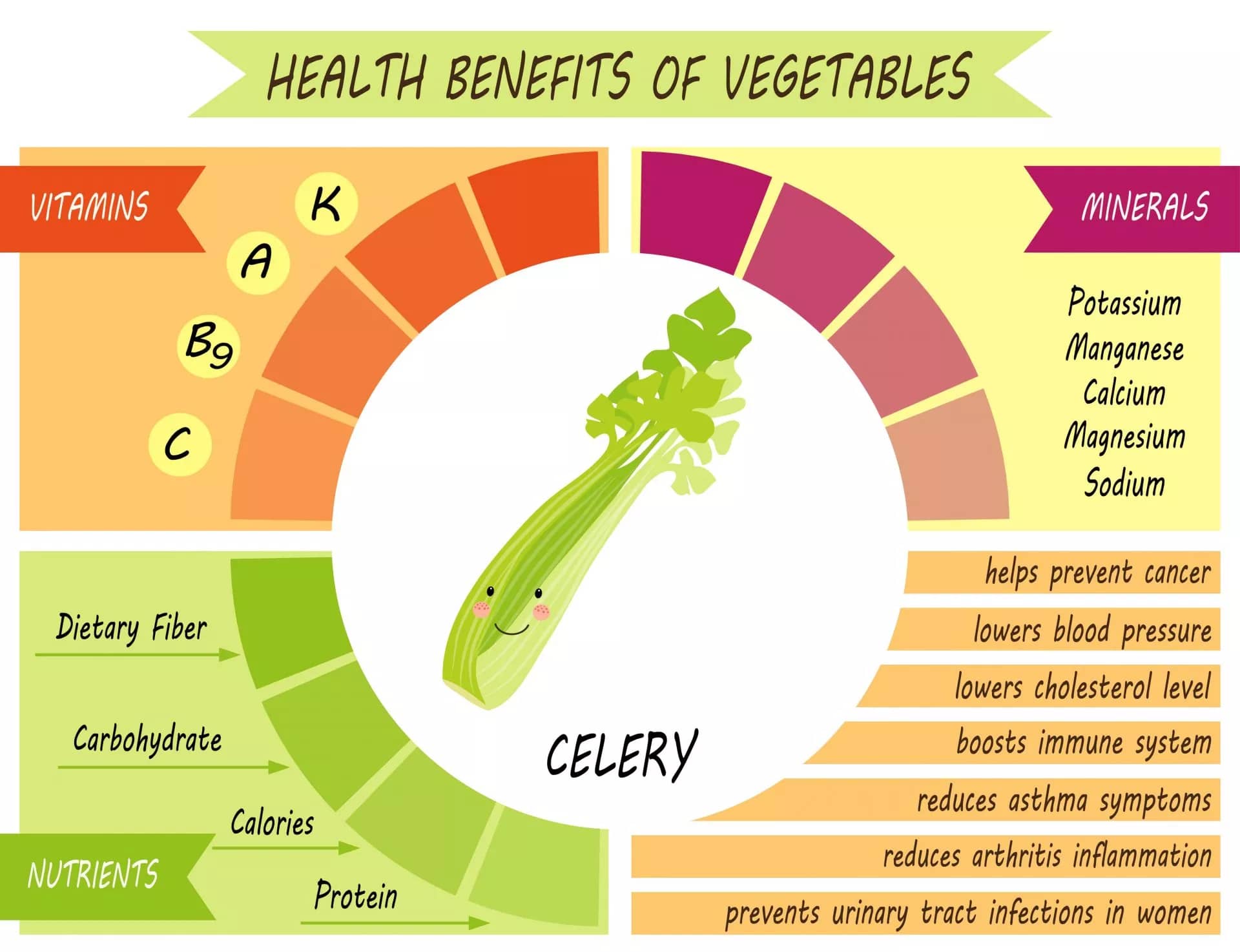 Celery Benefits infographic