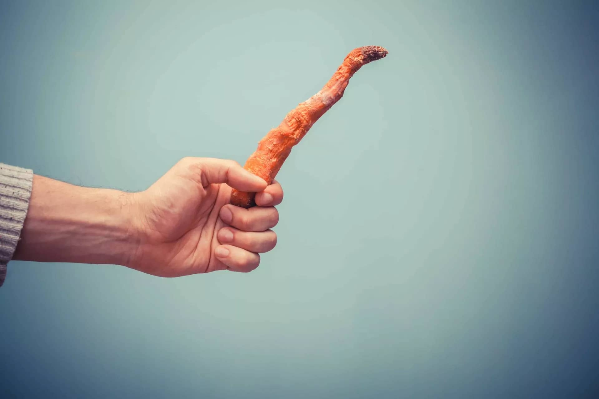 Hand holding rotten carrot
