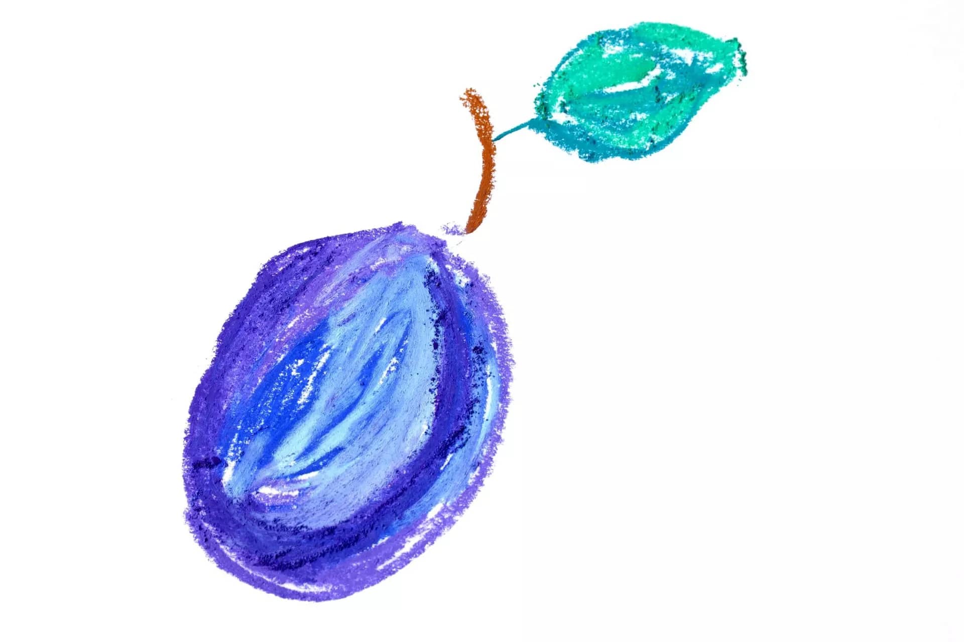 Plum with leaf drawing isolated on a white background