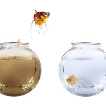 Conceptual image of a fish jumping from his polluted bowl into a clean fishbowl