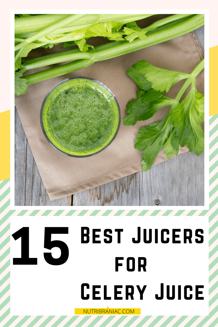 Heard about the benefits of celery juice? Want to start juicing celery but don't know which juicer is best for celery juice? Don't worry. We break it down for you. We review all the best celery juicers on the market, so you get maximum nutrition from your celery juice. Not in the mood to buy a celery juicer? No problem. We show you how to juice celery without a juicer. #celeryjuicerblender #celeryjuicerecipejuicers #celeryjuicewithjuicer #celeryjuicebenefits